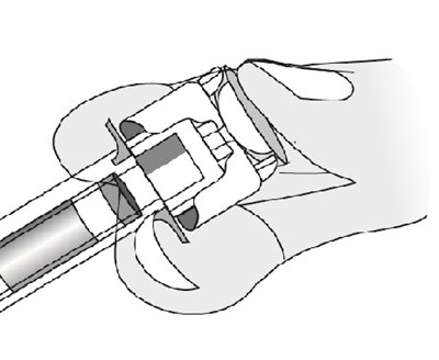 Image (Image 02)