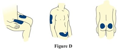 Figure D (Image 08)