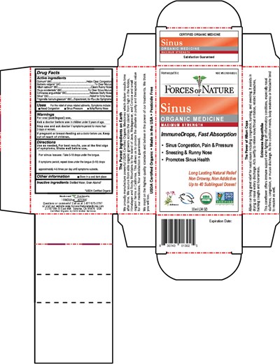 sinus-01.jpg PRINCIPAL DISPLAY PANEL - 10 ml Bottle Carton - sinus 01