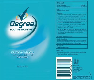 Degree Aerosol Shower Clean Pdp (Degshowercleanaerosolappdp)