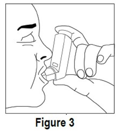 Figure3 (Figure3)