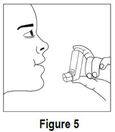Figure5 (Figure5)