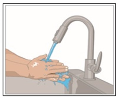 Figure 2 (Gammagard002)