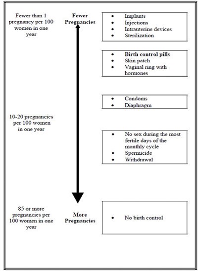 nuvaring-04.jpg Figure 3 - nuvaring 04