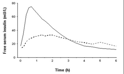 Figure 4 (Image 04)