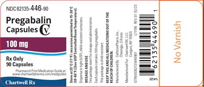 Image Description (Pregabalin Capsule 100mg 90s Bottle Label)