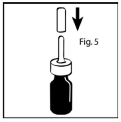 Figure5.jpg (Figure5)