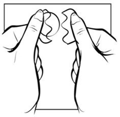 Figure D (Estradiol Figure 10)