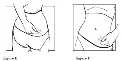 Figure E, F (Estradiol Figure 11)