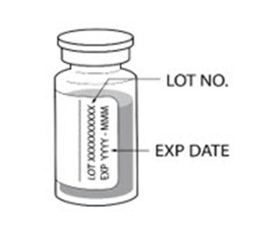 Figure 2 (Forzinity 05)
