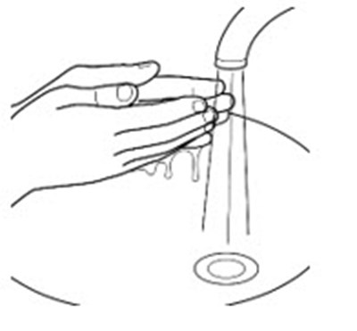Figure 3-a (Forzinity 06)