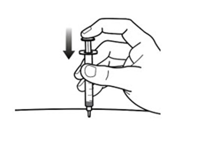 Figure 7-c (Forzinity 21)