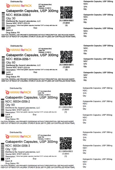 Image Description (Label 300mg)