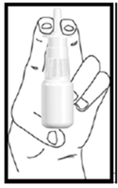 Figure D (F5ef9c6e Bf77 4419 89a6 63f803bbfeed 05)