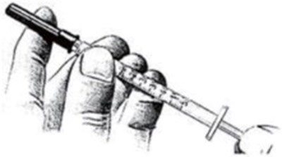 leu0f-0000-02.jpg Figure A - leu0f 0000 02