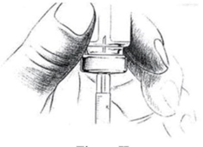 Figure H (Leu0f 0000 09)
