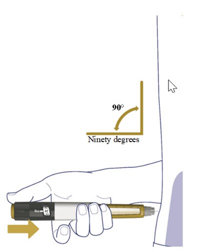 5a-figure-300.jpg - 5 a figure 300