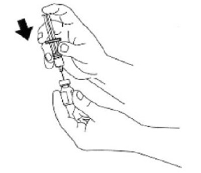 Figure C (Image 06)