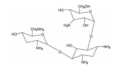 Formulation (Tobramycin Inhalation Solution Usp 1)