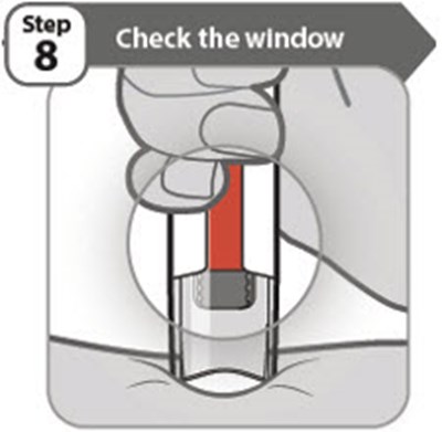 Step 8 (Abrilada 11)