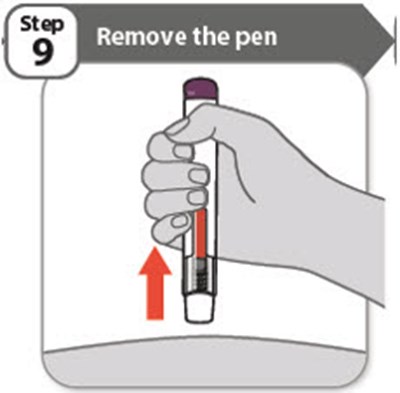 Step 9 (Abrilada 12)
