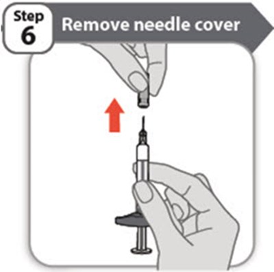 Step 6 (Abrilada 21)