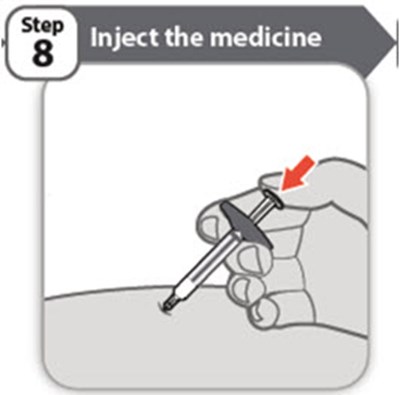 Step 8 (Abrilada 23)