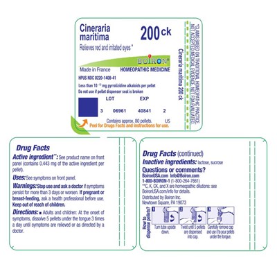 Cineraria_maritima_200ck-label.jpg label - Cineraria maritima 200ck label