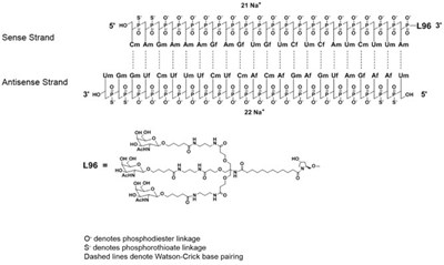 Chemical Structure (Givosiran 01)