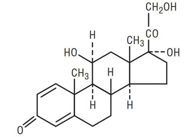 structure.jpg Structural Formula of Prednisolone - structure