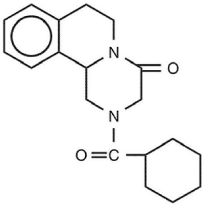Praziquantel (Praziquantel Tablets Usp 600 mg 1)