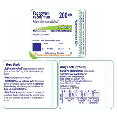 Label (Fagopyrum Esculentum 200ck Label)