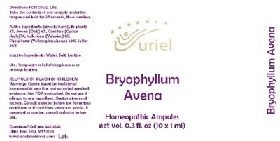 BryophyllumAvenaAmpules.jpg BryophyllumAvenaAmpules