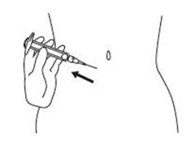 Image - 47e6ba7b 2204 45ec b29f f2baaf56fa65 16