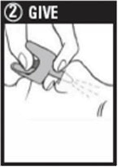 2 Give (Naloxone Hydrochloride Nasal Spray 8)