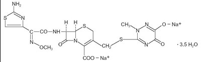 Structure (1781fc07 5a2a 4b31 Aad9 D0457eb704f4 01)
