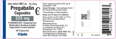 pregabalincaps-225mg-90s-count.jpg PRINCIPAL DISPLAY PANEL - 225 mg - pregabalincaps 225mg 90s count