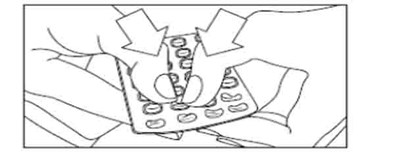 Figure B (Zenchent Fe 6)