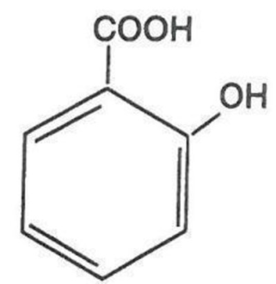 Structure.jpg (Structure)