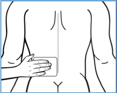 Image (Bondlido 06)
