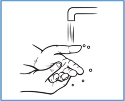 Image (Bondlido 11)