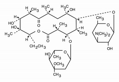 Erythromycin_Structure.jpg Structure Image - Erythromycin Structure