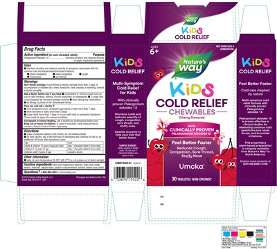 Lhbn15522_01_coldrelief_umcka_kids_sams_30ct_fnl.jpg (Lhbn15522 01 Coldrelief Umcka Kids Sams 30ct Fnl)
