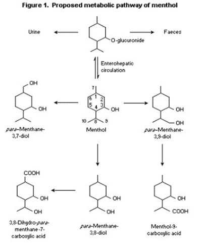 Mentholpath (Pathway)