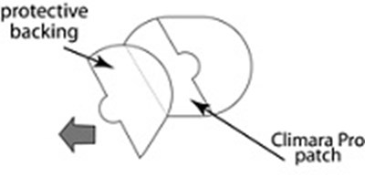 Fig D.jpg (Image 10)