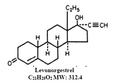 Levo-ee-levo-structure.jpg (Levo Ee Levo Structure)