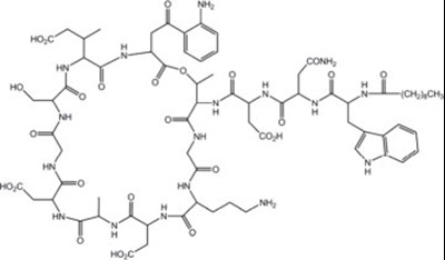Chemical Structure (Dapto Struct)
