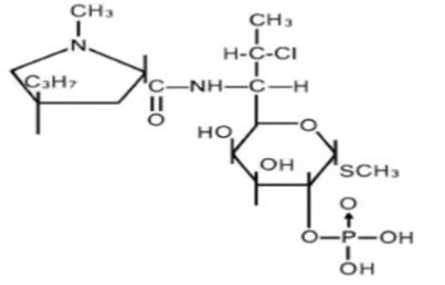 Strucutre Clinda (Structure Clinda)