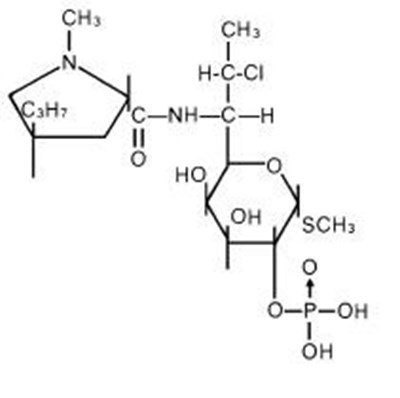 Structure (St)