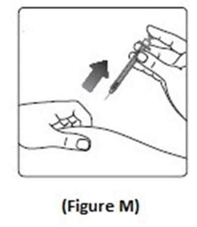 Figure M (Image 48)